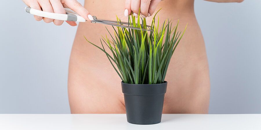 Playful waxing concept: a potted plant being trimmed in front of a bikini line